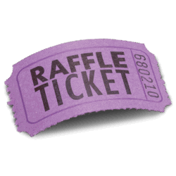 Individual 50:50 Raffle Ticket
