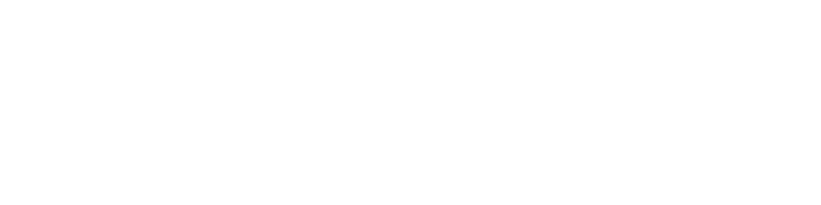 Twinless-Twins-Support-Group-White-Logo